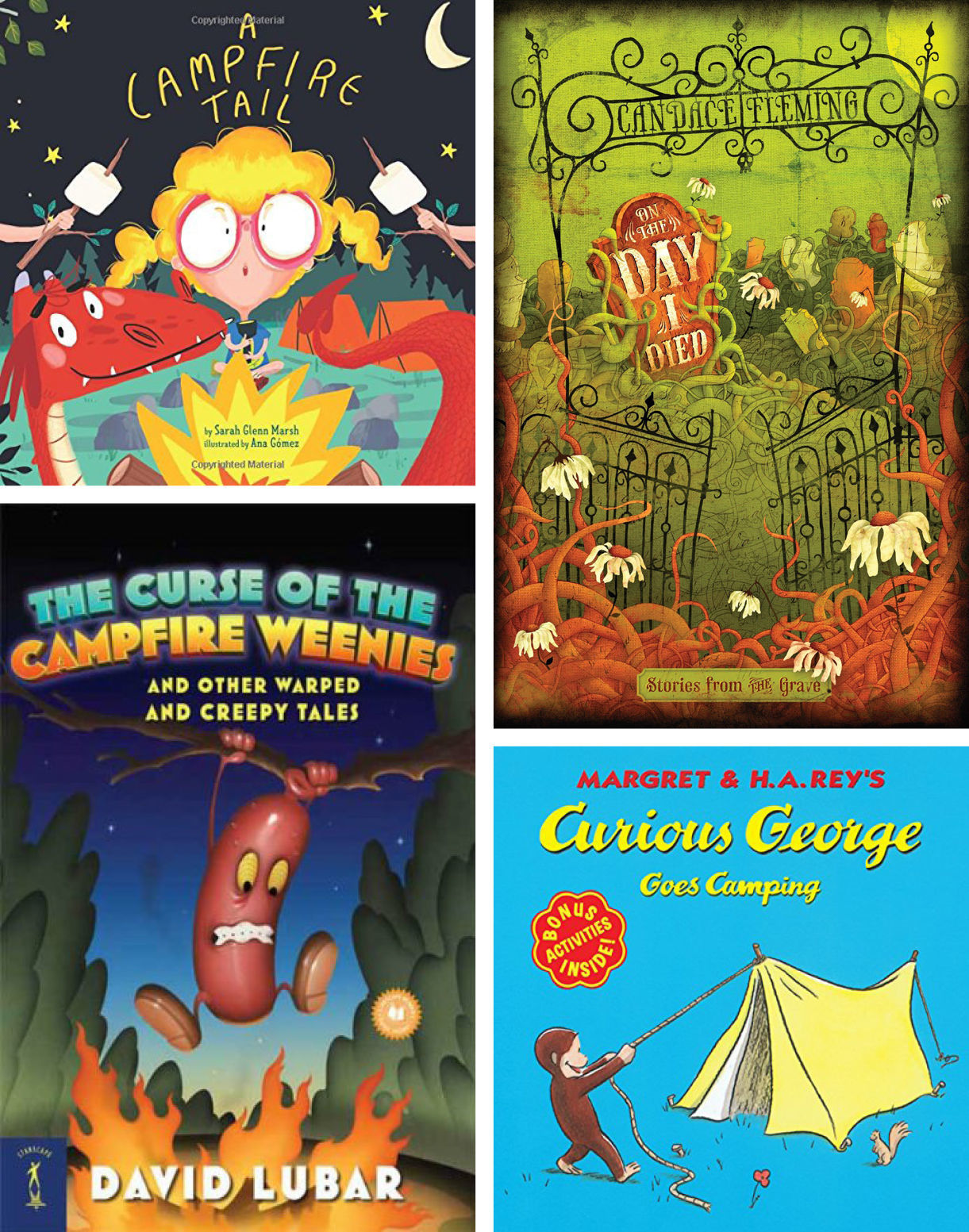 camping book ideas.jpg